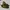 Aventures Des Toiles Gorpcore Sneakers Pria Tan