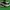 Balmain Lolita Cosplay Sneakers Pria White Black