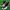 Balmain Lolita Cosplay Sneakers Pria white black photo 1