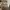 Nike Lolita Minimalist Sneakers Pria tan gray photo 3