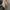 Adidas Streetwear Casual Casual shoe Pria white cream photo 3