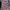 L.L.Bean Casual Casual shirt Pria multicolor photo 1