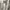 Lee Streetwear Sportswear Hoody Pria white photo 5