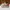 Crocs Casual Platform Wanita cream photo 3
