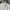 Adidas Luxury Casual Polo shirt Pria white photo 3