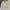Casual Harrington jacket Pria tan photo 1