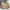 Uniqlo Streetwear Casual Puffer Jacket Pria Tan