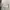 Off-White Avant Garde T-shirt Wanita white gray photo 7