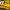 MOSCOT Casual Sunglass Pria yellow photo 2