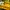 MOSCOT Casual Sunglass Pria Yellow
