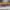 MOSCOT Casual Sunglass Pria yellow photo 4