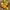MOSCOT Casual Sunglass Pria yellow photo 1