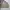 Polo Ralph Lauren Vintage Casual Harrington Jacket Pria Tan Cream