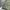 Casual Harrington jacket Pria green photo 4