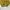 Vintage Y2K Bomber jacket Pria yellow photo 1