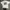 Vintage T-shirt Pria white photo 4