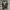 Vintage Trench coat Pria black photo 1