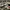 New Balance Sportswear Casual Sneakers Pria Multicolor Gray