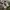 New Balance Sportswear Casual Sneakers Pria multicolor gray photo 7