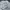 National Geographic Streetwear Casual T-shirt Pria gray photo 1