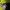 Millet Sportswear Casual T-shirt Pria multicolor photo 5