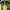 Millet Sportswear Casual T-shirt Pria multicolor photo 1