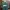 H&M Streetwear Skater Polo Shirt Pria Green