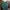 H&M Streetwear Skater Polo shirt Pria green photo 2