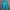 Sportswear Sweater Wanita blue photo 8