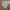 Diesel Indie Casual Formal shirt Pria multicolor photo 2