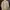 Pull & Bear Streetwear Biker Bomber jacket Pria tan brown photo 2