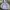 Gildan Avant Garde Hoody Pria gray photo 1