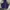 Ellesse Avant Garde Hoody Wanita purple navy photo 1