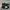 Converse Y2K Skater Sneakers Wanita black photo 1