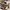 Asics Casual Sneakers Pria tan brown photo 1