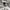 Adidas Sportswear Track jacket Wanita white photo 6