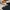Dickies Streetwear Casual Casual pants Pria navy photo 6