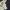 Dickies Streetwear Casual Casual pants Pria navy photo 6
