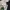 Dickies Streetwear Casual Casual pants Pria navy photo 6