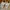 New Balance Streetwear Sportswear Sneakers Wanita silver white photo 4