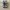 Salomon Casual Sneakers Wanita silver photo 3
