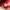 Puma Casual Sneakers Pria red photo 6