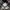EDWIN Streetwear Sportswear Casual shirt Pria white black photo 6