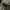Lee Streetwear Sportswear Casual shirt Pria green tan photo 5