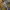 Japanese brand Streetwear Sportswear Casual shirt Pria cream yellow photo 5