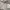 Adidas Sportswear Windbreaker Pria white photo 8