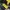 Luxury Hoody Pria black yellow photo 3