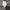 Nike Sportswear Windbreaker Pria white gray photo 7