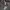 Nike Sportswear Windbreaker Pria white gray photo 8