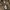 have a good time Streetwear Hoody Pria white brown gray photo 3
